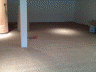 Carpet Install